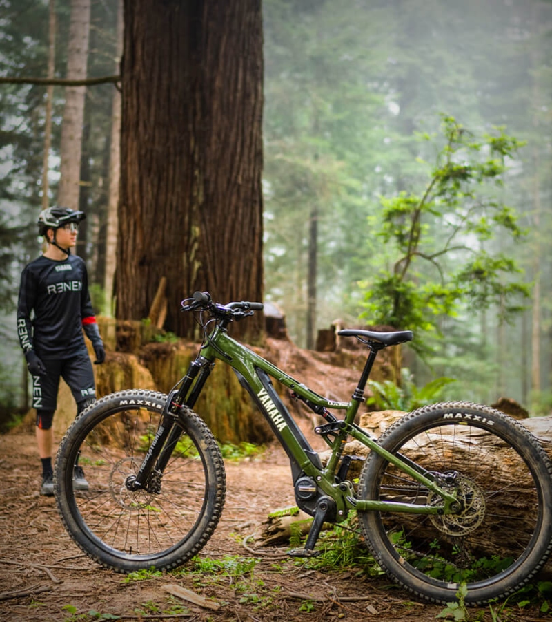 Electric Mountain Bike Rental Services Near Me