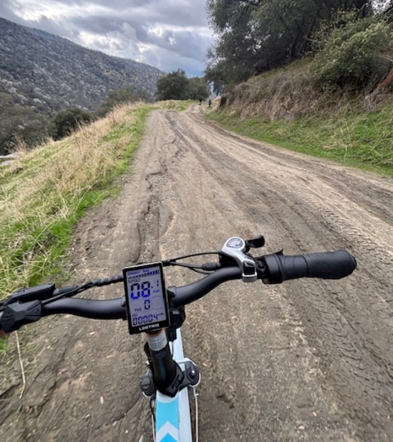 Rentals for All: Electric Bikes for Every Rider