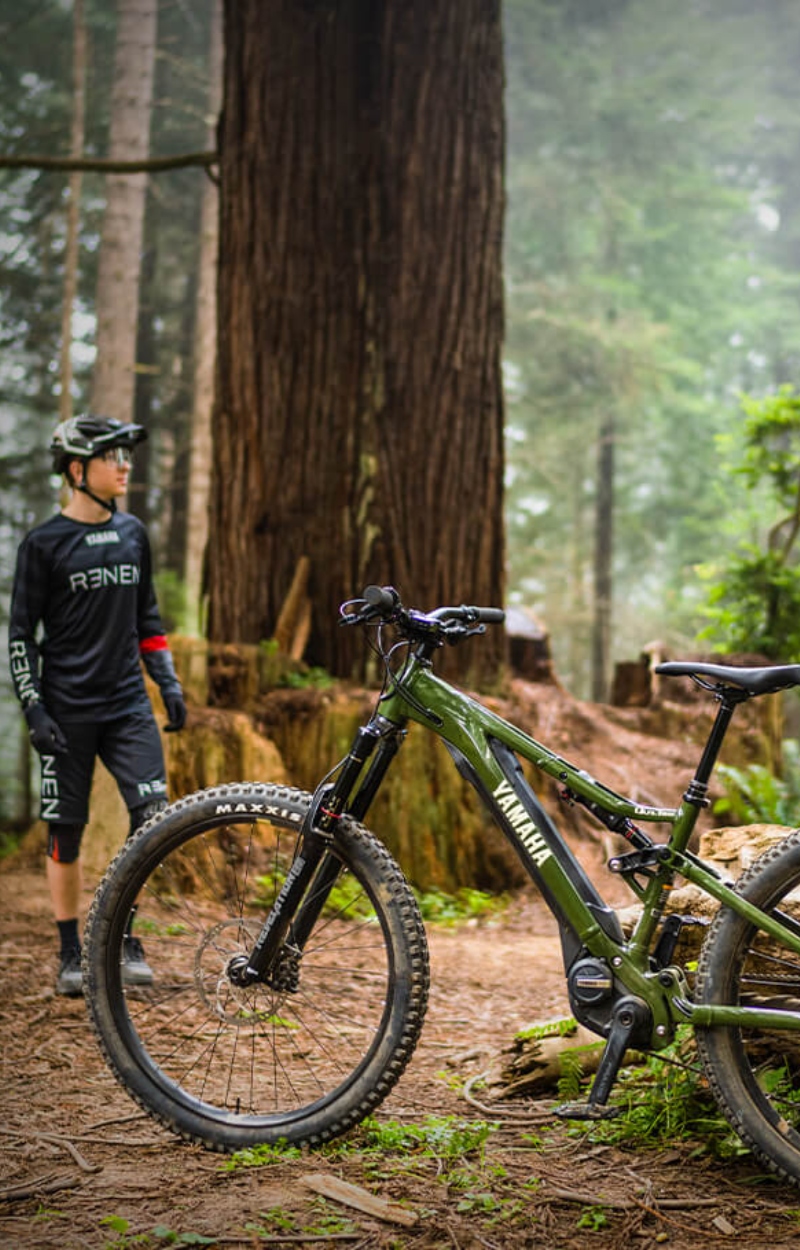 best Cruiser bike services near me