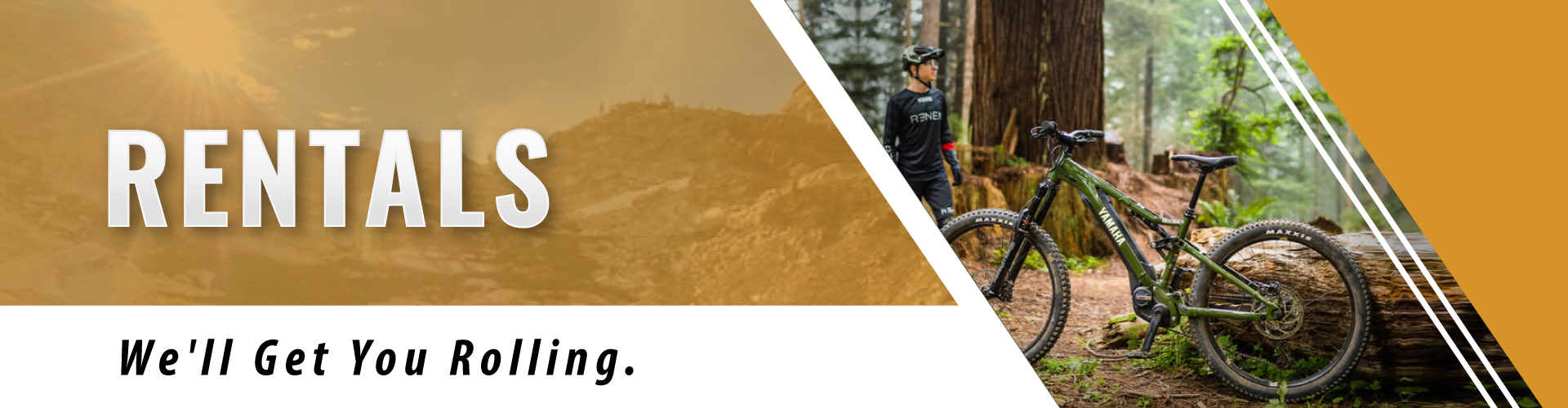 rentals Bike Rentals Services - We will get you rolling